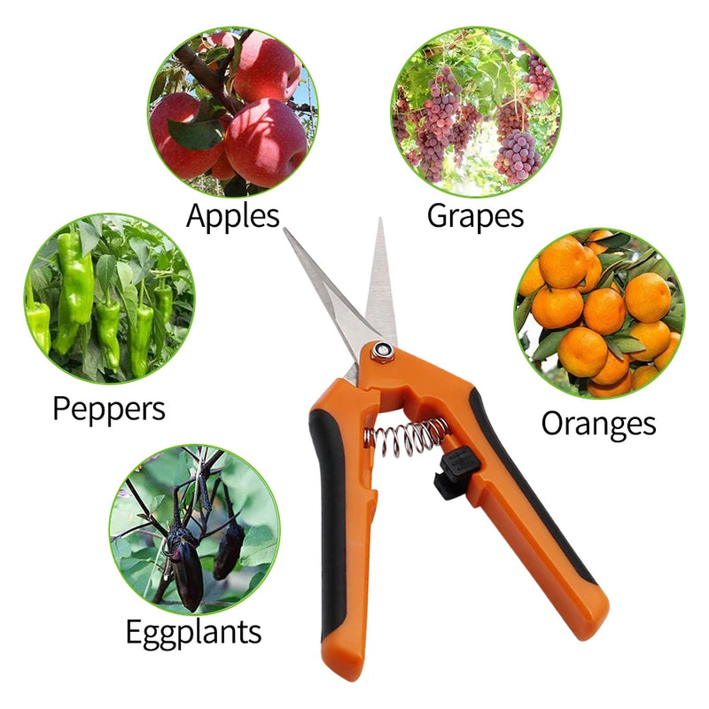 Garden Pruning Shears Stainless Steel Pruner Fruit Picking Secateurs Potted Weed Pruning - FREE SHIPPING